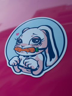 Set of animal-themed bunny car stickers with very adult scene.High-quality, weatherproof decals perfect for personalizing cars, laptops, and more.